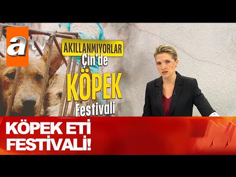 Köpek eti festivali! - Kahvaltı Haberleri