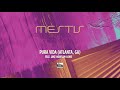 Mestis - Pura Vida feat. Jake Howsam-Lowe (Atlanta, GA) LIVE