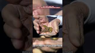 Centrelink Pension Age Increase 2026 What It Means For You