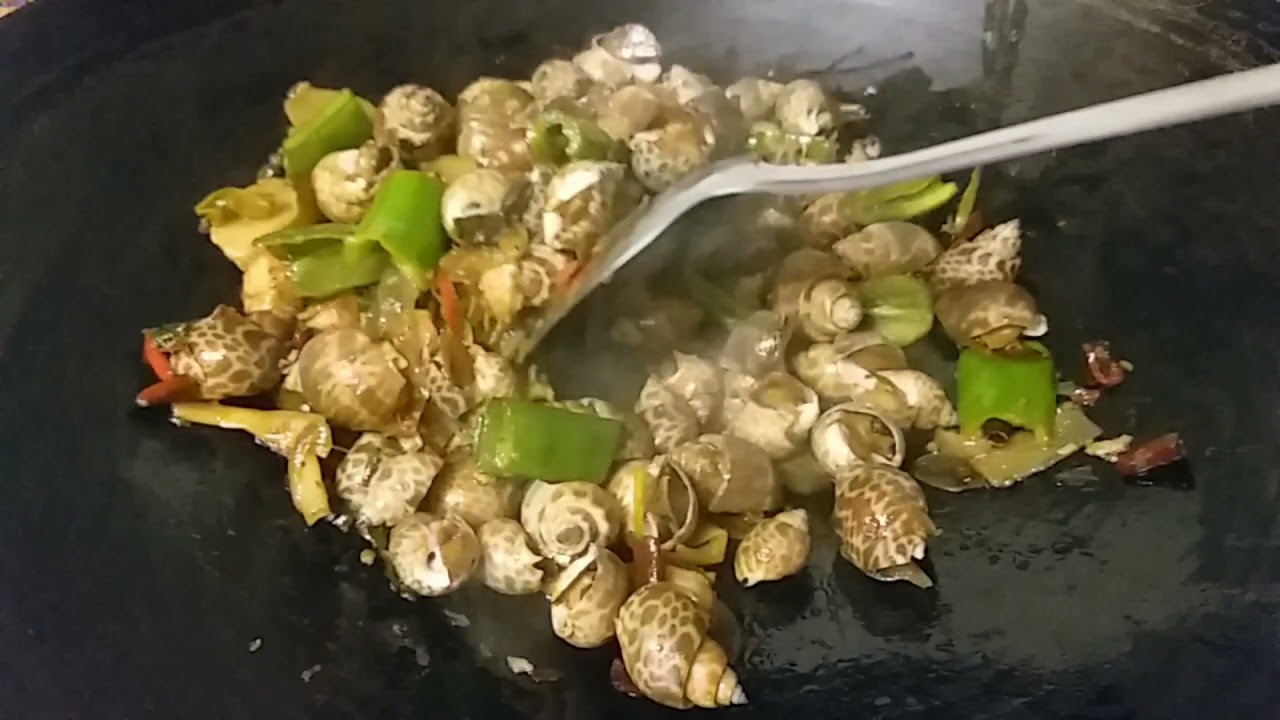 STIRFRY NUTMEG SHELL