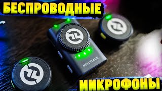 Обзор Беспроводных Микрофонов Hollyland LARK M2 Combo