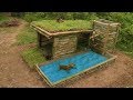 Build Beautiful Wild Dog's House With Shower Pool