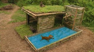Build Beautiful Wild Dog's House With Shower Pool