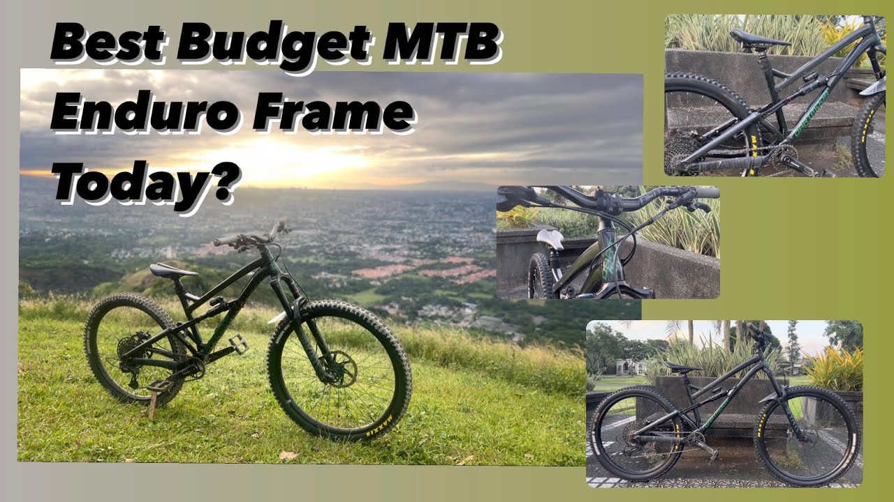 Part 2 Best Budget MTB Enduro Frame Of 2023? Dartmoor Blackbird 29er