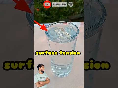 Floating blade on the water | Simple science experiments | #experiment #science #surfacetension