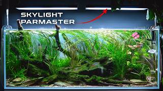 Exceptional Nature Aquariums at Liquid Nature Vienna aquarium store!