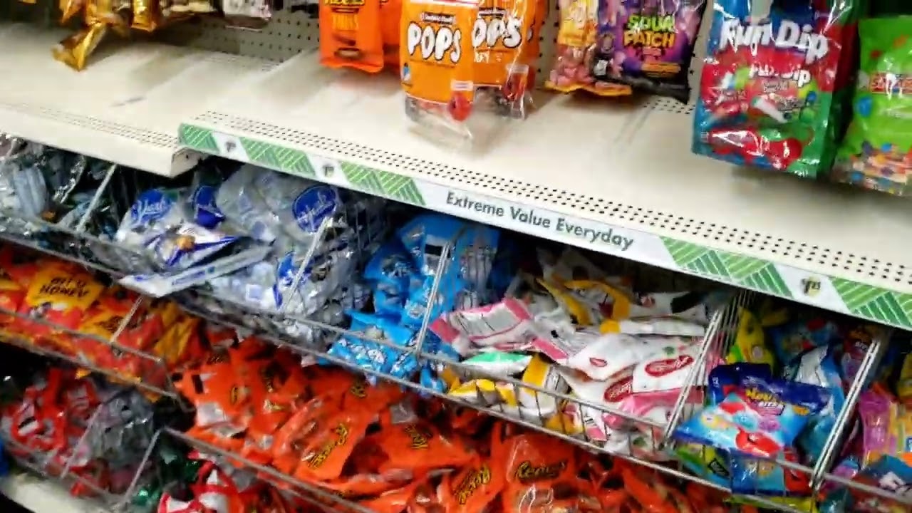 Shopping blog/Haul What's New at the Dollar Tree #dollartree #dollartreehaul #groceryshopping 