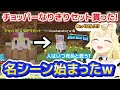 【新ホロ鯖マイクラ】ワンピースの名シーンをマイクラで再現するぺこらとわため【ホロライブ切り抜き/角巻わため/兎田ぺこら】