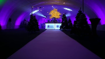 Air Space NZ - Inflatable Event Structures