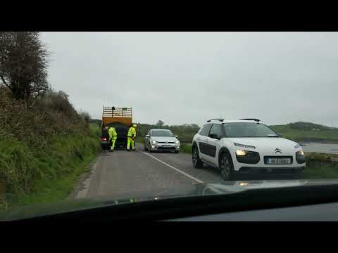 Irish road workers filling Irish potholes on an Irish road.