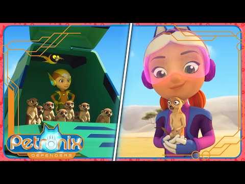 PETRONIX Defenders | 🌎 Mission: Meerkat Mob Rescue 🐱 Full Episode | Cartoon for kids