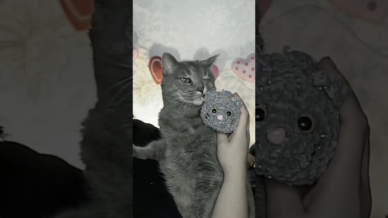 The Cat VS The Crochet