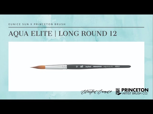 Watch this BEFORE Buying Princeton Aqua Elite Watercolor Brushes 