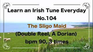 104 The Sligo Maid (Double Reel, A Dorian)