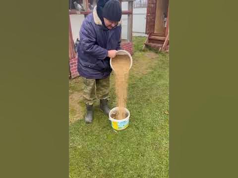 ОЛЯ,ты откуда?#семья #оля #дача#птицы #sorts - YouTube