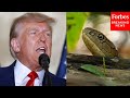 &#39;Should I Do It Now...?&#39;: Donald Trump Tells Story Of A Woman And Snake As Metaphor For Immigration