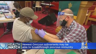 Newest Omicron subvariants infecting people who should have immunity