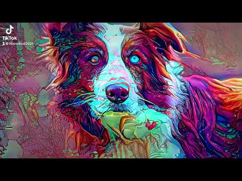 Deep dream effects - After Effects / Photoshop