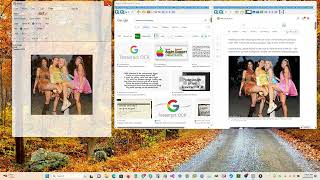 Web2oolZBrowser New Application Demo 1 - Showing Screen OCR and Selective Capture screenshot 5