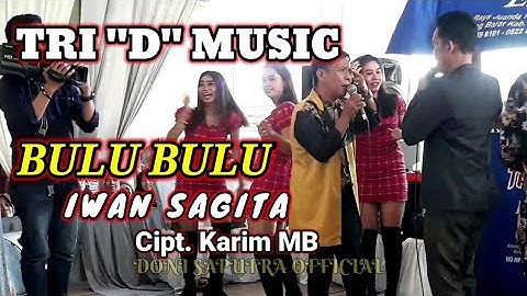 BULU BULU - IWAN SAGITA || Cipt. Karim MB