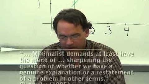 The Anatomy of Chomsky