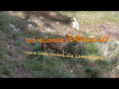 Civitella Alfedena - Camosciara a piedi