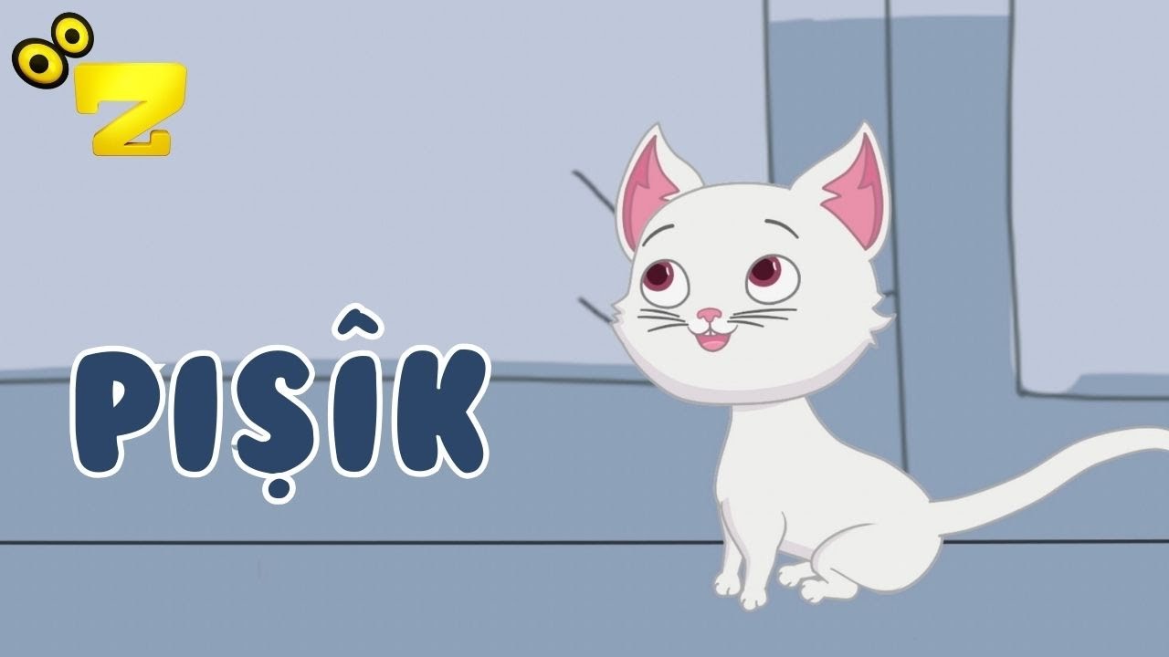 Watch ZAROK TV - Pişîk 🎵 on YouTube Watch ZAROK TV - Pişîk 🎵 on YouTube