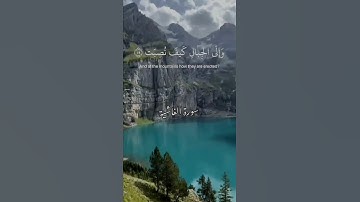 ﴿ افلا ينظرون إلى الإبل كيف خلقت ﴾ القارئ-عبد الرحمن مسعد
