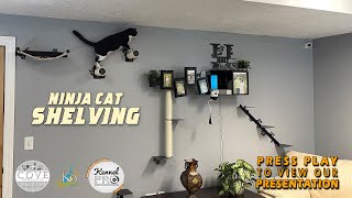 NinjaCat Cat Shelving & Photo Cove Box For Recreation screenshot 1