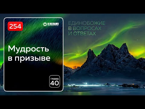 254. Мудрость в призыве. Как правильно понимать слова 'Али? Единобожие в вопросах и ответах