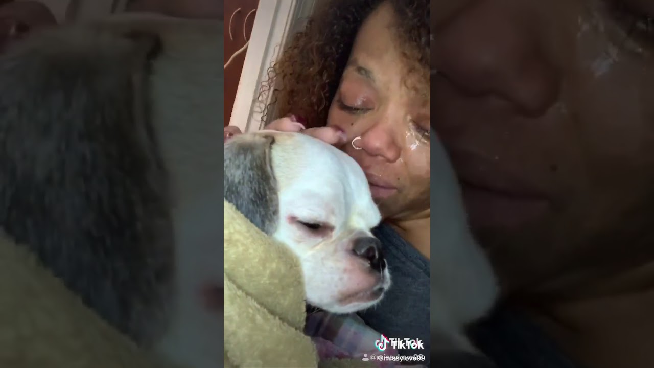 Her dog is dying 😰TIk tok YouTube