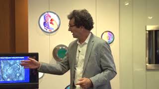 Meet The Researcher: Mark McNiven, Ph.D.
