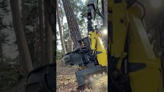 How To Cut Tree With Harvester John Deere 1270G #Johndeere #Machine #Montains #Viral #Wood #Tree