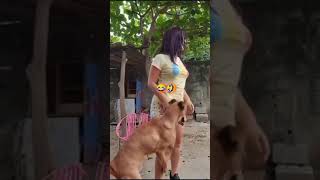 لاس زدن دختر با سگ