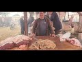 مباشرة من سوق الاسبوعي خميس سيدي حجاج مع تمن فضات
