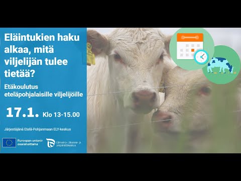 Video: Epäorgaaniset polymeerit: esimerkkejä ja sovelluksia