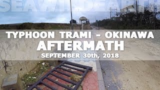 Typhoon Trami, Okinawa: The Aftermath