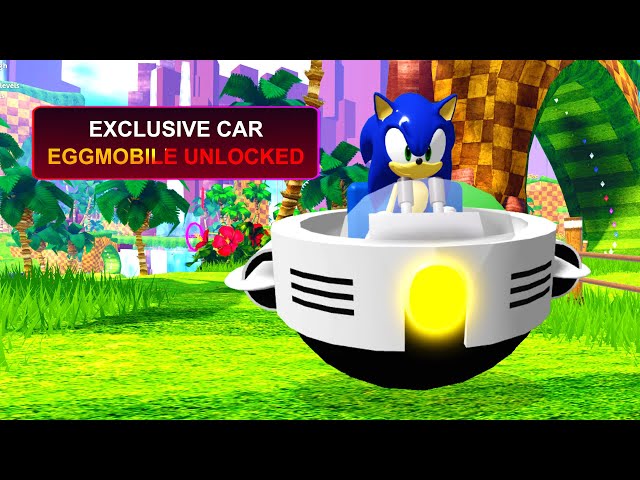 NEW CODENAME & MORE MASSIVE LEAKS! (Sonic Speed Simulator) 