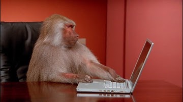 Delphi - Question 3 OOP