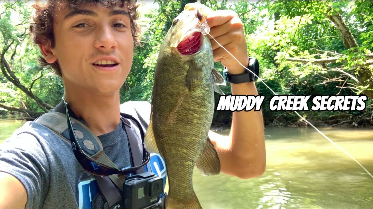 TN Muddy Creek Fishing! (Surprising Results!) YouTube