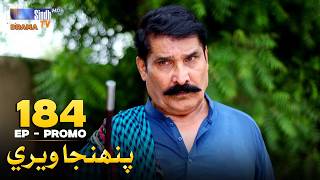Pahinja Weri Episode 184 Promo | Soap Serial | SindhTVHD Drama