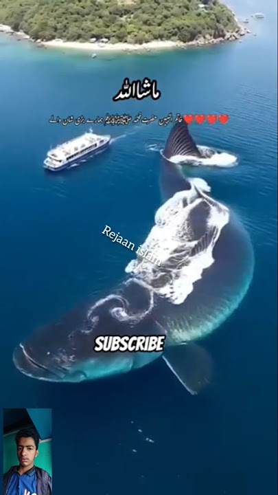 surah_Al_ankabut_part_4_kullu_nafshi_jaeqatul_mout😥☝️_ _#surahalankabut#allahhuakbar#quran#shortfeed