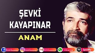 ŞEVKİ KAYAPINAR - ANAM Resimi