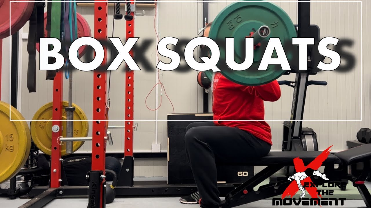 Box Back Squats Explore The Movement YouTube
