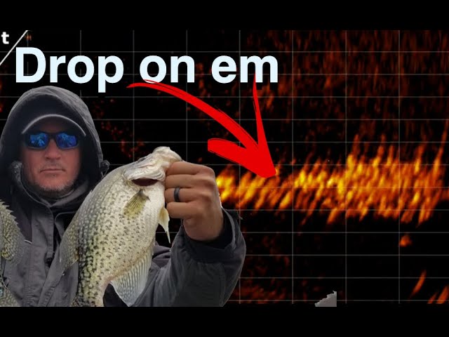The Secret Dropshot Retrieve I Discovered While Crappie Fishing