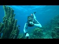 Snorkeling in Cayo Arena Dominican Republic