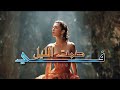 في صمت الليل Official Audio In The Silence 