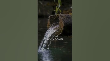 #القرآن_الكريم #سورة_هود، #محمد_ايوب.