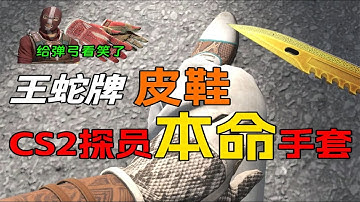 探员专武！来看看不同CS2探员的本命手套吧！