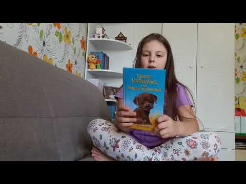 Холли Вебб - Щенок Кнопочка, или Умная малышка Холли Вебб - Щенок Кнопочка, или Умная малышка